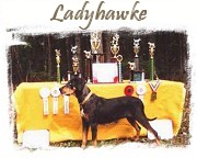 Ladyhawke